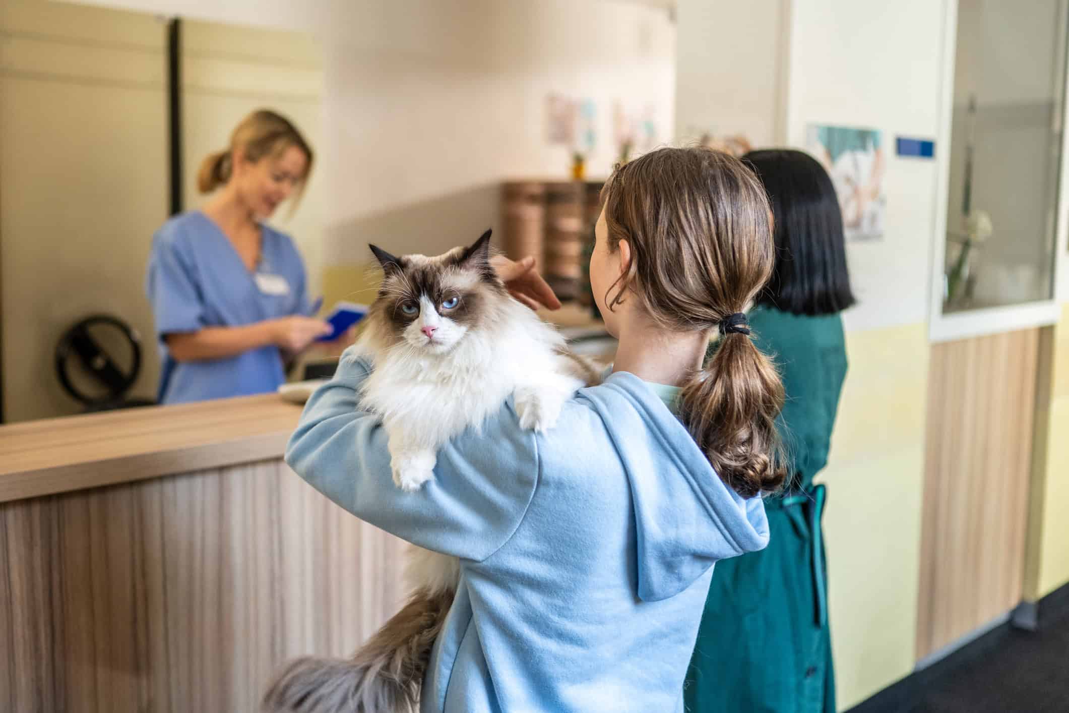 How the Pet Hospital of Madison Recovered from Phone System Failure with Sangoma Switchvox