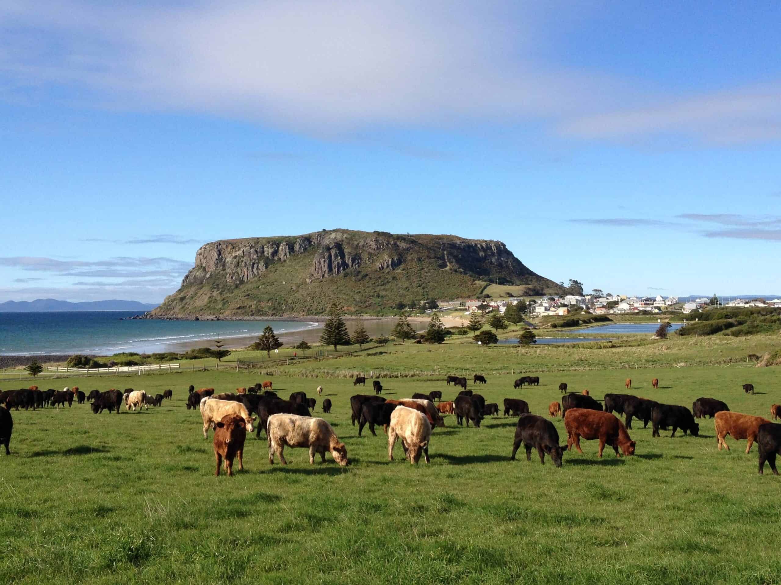 Cape Grim Beef Easily Connects Multiple Facilities with Sangoma Unified Communications Solutions